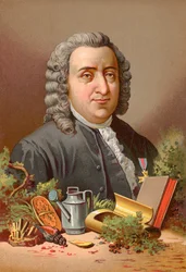 Carl Linné