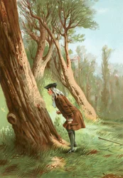 Reaumur studerar insekter