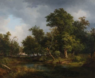 skogslandskap
