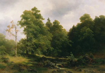 Det lugna hörnet av skogen