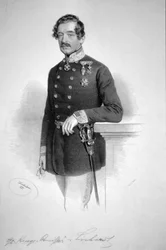 Franz von Linhardt