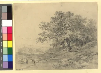 Landskapsstudie