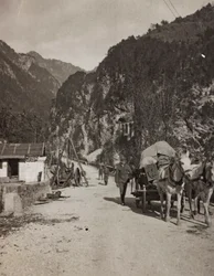 Album "Mitt världskrig - minnen av sydvästra fronten i Kärnten, Italien, Trentino-Alto Adige) 31/03/1915-12/11/ 1918 - Josef Zohles Wien ": militärvagn (s/v foto)
