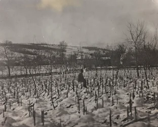 Album "Mitt världskrig - minnen från sydvästra fronten i Kärnten, Italien, Trentino-Alto Adige) 31/03/1915-12/11/1918 - Josef Zohles Wien ": militärkyrkogård (s/v foto