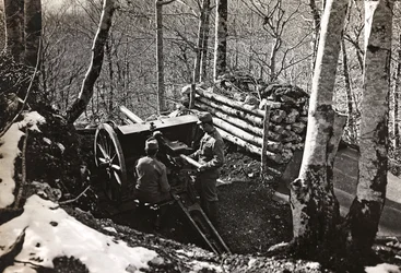 Album "Mitt världskrig - minnen av sydvästra fronten i Kärnten, Italien, Trentino-Alto Adige) 31/03/1915-12/11/1918 - Josef Zohles Vienna ": Soldater med kanon (s/v p