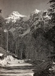 Album "Meine weltkriegs - Erinnerungen South-West Front (Kärnten, Italien, Sydtyrolen) (Mitt världskrig - minnen från sydvästra fronten i Kärnten, Italien, Trentino-Alto Adige) 31/03/1915-12/11/ 1918 - Josef Zohles Wien ": bergsväg (s/v foto)