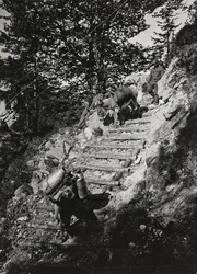 Album "Mitt världskrig - minnen av sydvästra fronten i Kärnten, Italien, Trentino-Alto Adige) 31/03/1915-12/11/1918 - Josef Zohles Wien ": Armémulor längs en brant av