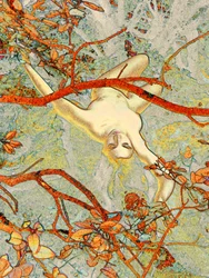 Alice i Cevennerna 2