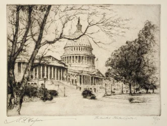 USA:s huvudstad Capitolium