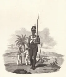 En menig vid 5:e västindiska regementet, c1812 1909