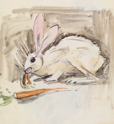 Kanin (penna & tvätt på papper)