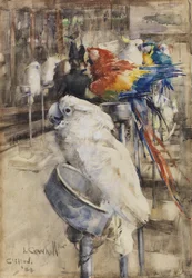 Aviary, Clifton