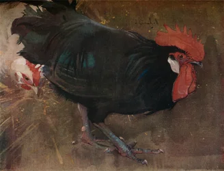 Den svarta tuppen, cirka 1894
