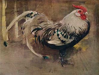 Den spräckliga tuppen, 1903, 1935