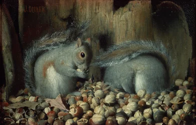 Gluttons (ekorrar)