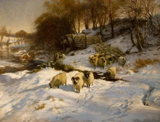 Får i snö, 1935