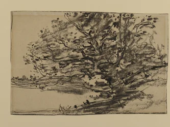 Study of Trees, 1870 (grafit på papper)