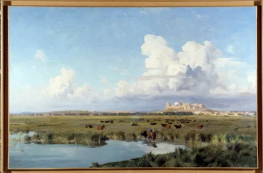 Landskapet i Camargue (olja på duk)
