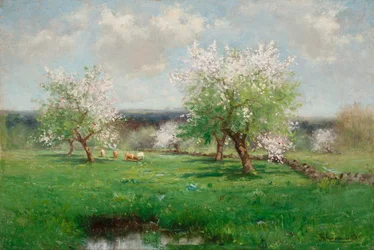 Äppelträdgård