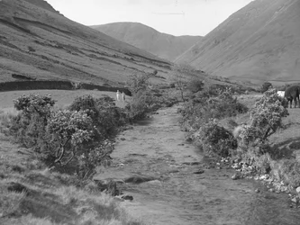 En bäck som rinner genom Wastwater-landskapet