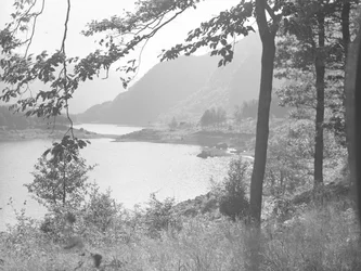 Thirlmere genom trädgrenar