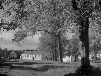 Träd i löv och utsikt över bybyggnader
