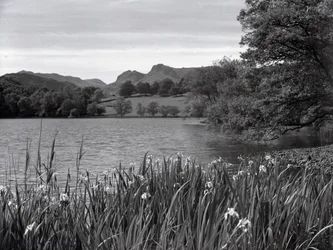Utsikt över Loughrigg Tarn
