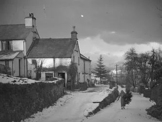 Kvinna bär gren på väg bredvid Borwick Fold Farm i Hawkshead i snö