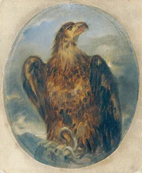 Adler