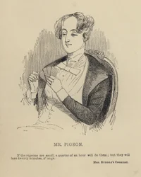 Kenny Meadows: Mr Pigeon (gravyr)