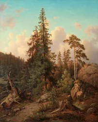 Skogslandskap med kvinna som samlar ved