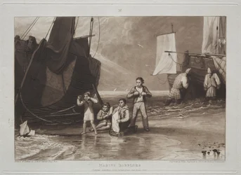 Studiebok: Marine Dabblers