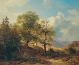 Sommarlandskap i de höga bergen