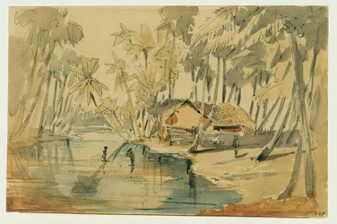 Palmlund på Ceylon (Sri Lanka)