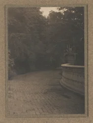 Scener i en trädgård