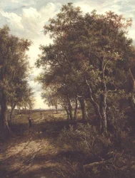 En glänta i skogen