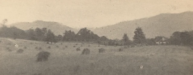 Landskap med träd och berg, ca. 1900.