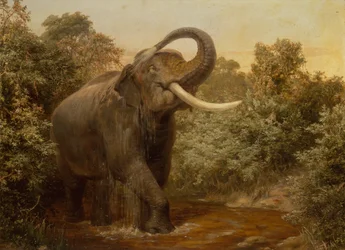 Monster Tusker (olja på duk)