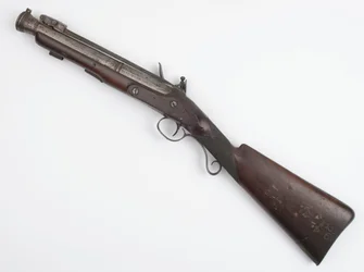 Blunderbuss med fjäderbajonett utfärdad till Irish Volunteers, c.c.1815 (blunderbuss, flintlock)