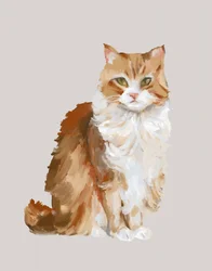 Porträtt av en fluffig rödkatt
