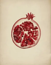Saftig röd granatäpple