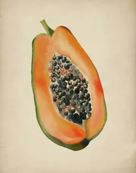 Halv färgglad papaya