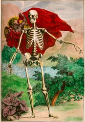Skelettet och kärleken