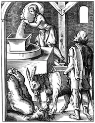 Miller, 1500-talet 1849