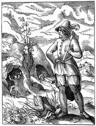 Gruvarbetare, 1500-talet 1849.