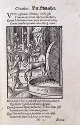 Oil Maker, illustration från den latinska upplagan av "De Omnibus Illiberalibus Sive Mechanics Artibus" med verser av Hans Sachs (1494-1576) pub. 1574 (träsnitt)