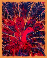 Bahaullahs gyllene påfågel, 2016