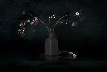 Stilleben med körsbärsblommor