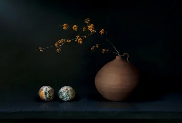 Mörkt stilleben med frukt