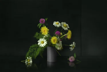 Stilleben med vildblommor